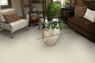 carpet-home-page